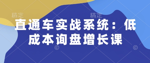 直通车实战系统：低成本询盘增长课，让个人通过技能实现升职加薪，让企业低成本获客，订单源源不断-网创先锋