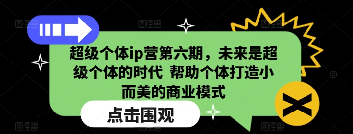 超级个体ip营第六期，未来是超级个体的时代  帮助个体打造小而美的商业模式-网创先锋