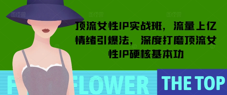 顶流女性IP实战班，流量上亿情绪引爆法，深度打磨顶流女性IP硬核基本功-网创先锋