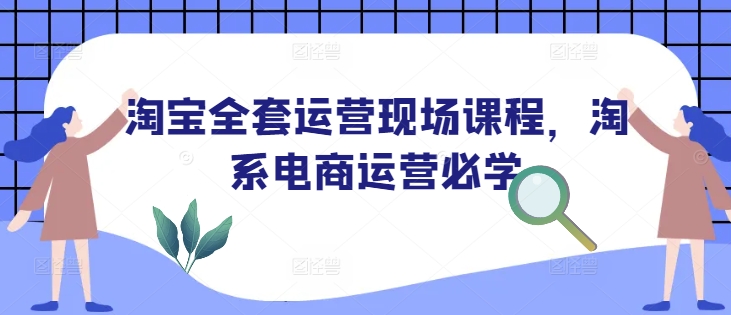 淘宝全套运营现场课程，淘系电商运营必学-网创先锋