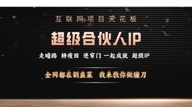 互联网项目天花板，超级合伙人IP，全网都在割韭菜，我来教你做镰刀【仅揭秘】-网创先锋