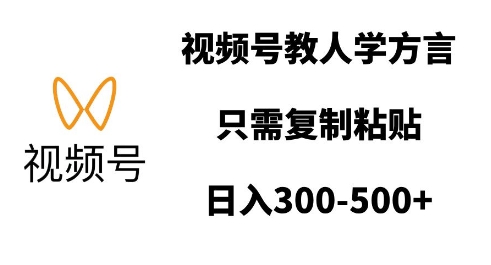 视频号教人学方言，只需复制粘贴，日入多张-网创先锋