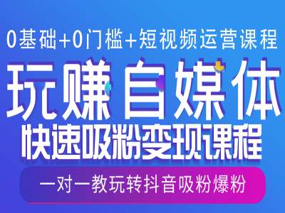 0基础+0门槛+短视频运营课程，玩赚自媒体快速吸粉变现课程，一对一教玩转抖音吸粉爆粉-网创先锋