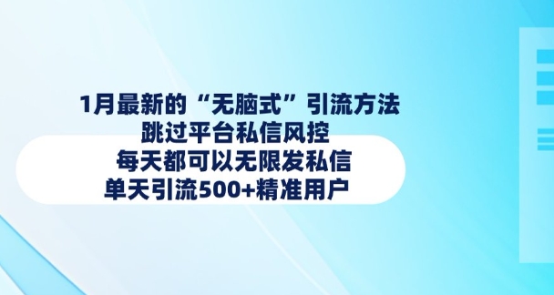 1月最新的无脑式引流方法，跳过平台私信风控，每天都可以无限发私信，单天引流500+精准用户-网创先锋