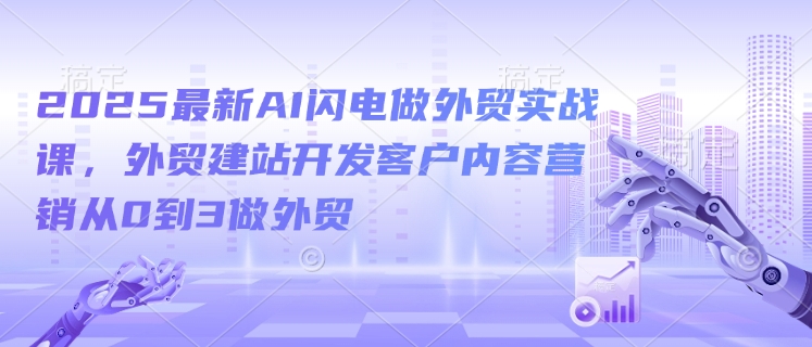 2025最新AI闪电做外贸实战课，外贸建站开发客户内容营销从0到3做外贸-网创先锋