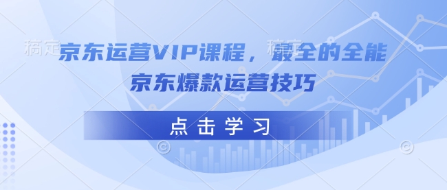 京东运营VIP课程，最全的全能京东爆款运营技巧-网创先锋