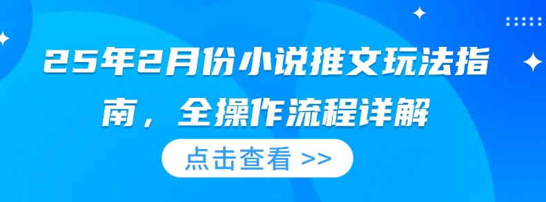 25年2月份小说推文玩法指南，全操作流程详解-网创先锋