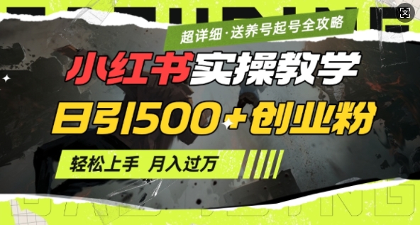 2月小红书最新日引500+创业粉实操教学【超详细】小白轻松上手，月入1W+，附小红书养号起号SOP-网创先锋