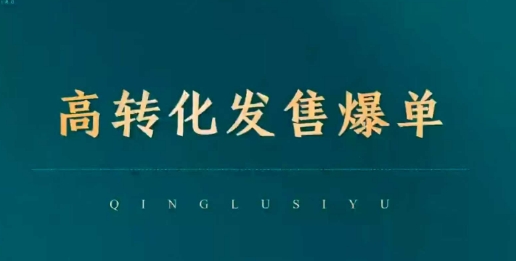 高转化发售爆单，引爆私域成交，打破运营全链-网创先锋