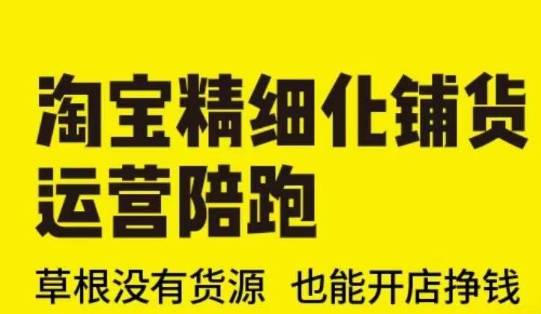 淘宝精细化铺货运营陪跑(部分更新至2025)，草根没有货源 也能开店挣钱-网创先锋