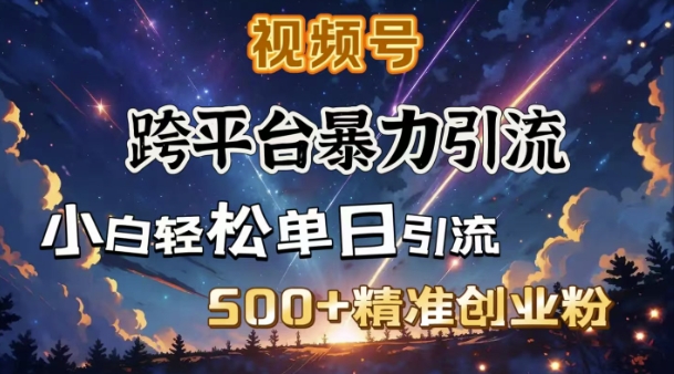 跨平台暴力引流，私域完美闭环，日引500+精准创业粉-网创先锋