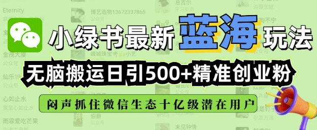 小绿书无脑搬运引流，全自动日引500精准创业粉，微信生态内又一个闷声发财的机会-网创先锋
