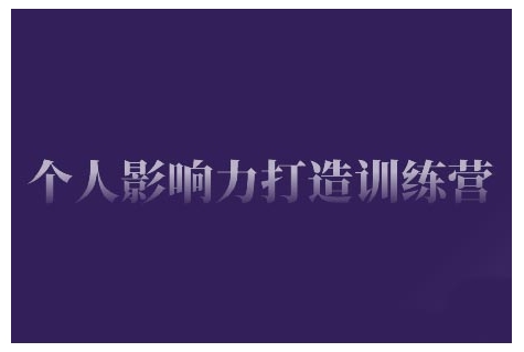 个人影响力打造训练营，掌握公域引流、私域运营、产品定位等核心技能，实现从0到1的个人IP蜕变-网创先锋