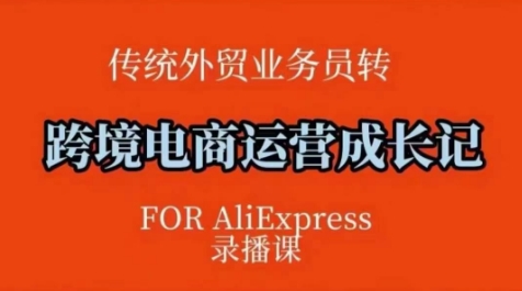 跨境电商速卖通运营课，​运营方法论+后台实操，逻辑清晰-网创先锋