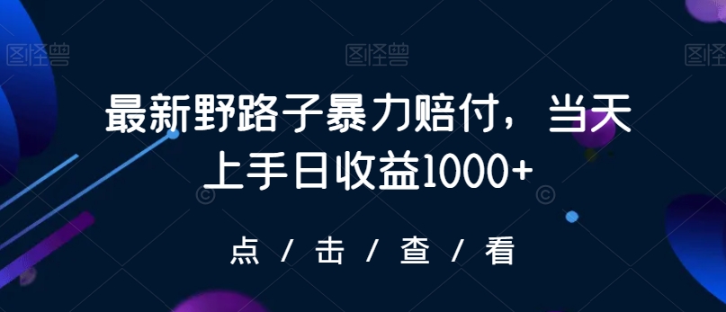 最新野路子暴力赔付，当天上手日收益1000+【仅揭秘】-网创先锋