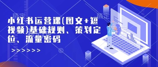 小红书运营课(图文+短视频)基础规则、策划定位、流量密码-网创先锋