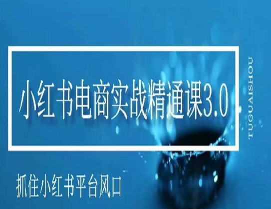 小红书电商实战精通课3.0，抓住小红书平台的风口，不错过有一个赚钱的机会-网创先锋