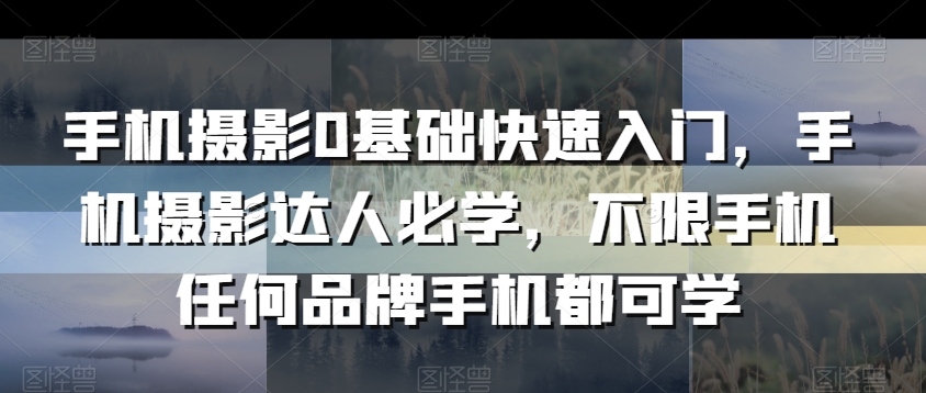 手机摄影0基础快速入门，手机摄影达人必学，不限手机任何品牌手机都可学-网创先锋