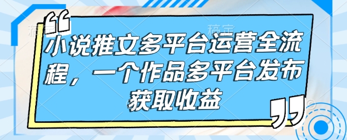 小说推文多平台运营全流程，一个作品多平台发布获取收益-网创先锋