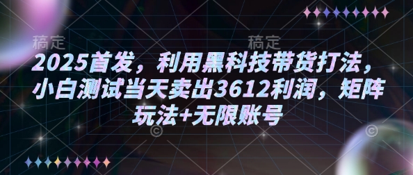 2025首发，利用黑科技带货打法，小白测试当天卖出3612利润，矩阵玩法+无限账号【揭秘】-网创先锋