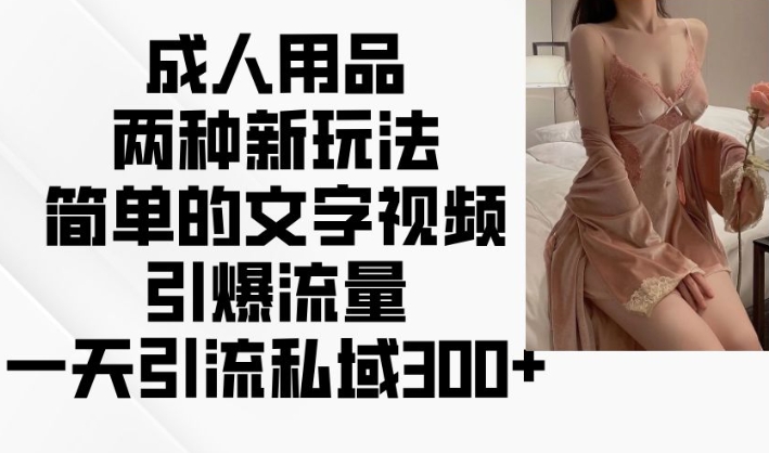 成人用品两种新玩法，简单的文字视频引爆流量，一天引流私域300+-网创先锋