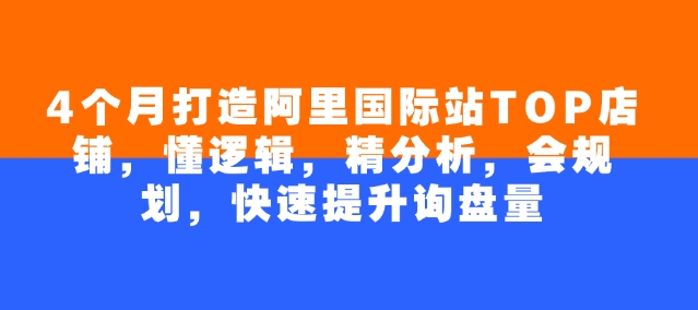 4个月打造阿里国际站TOP店铺，懂逻辑，精分析，会规划，快速提升询盘量-网创先锋