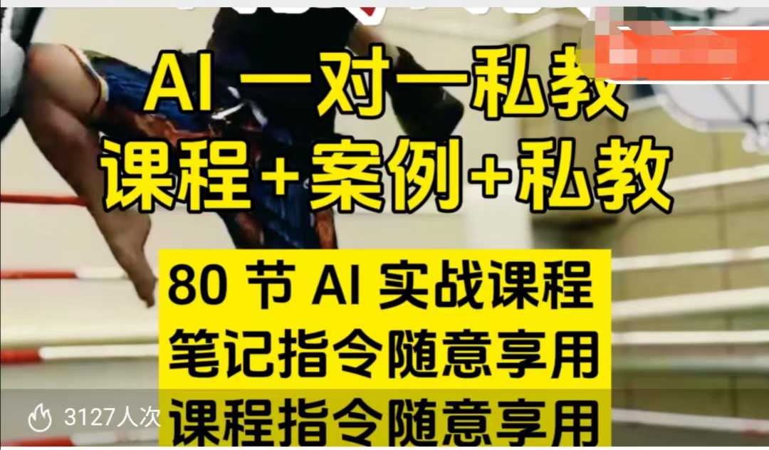 AI指令实战课，课程+案例，80节AI实战课程，笔记指令随意享用，课程指令随意享用-网创先锋