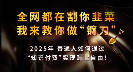 知识付费如何做到月入过W+，2025我来教你做“镰刀”【揭秘】-网创先锋