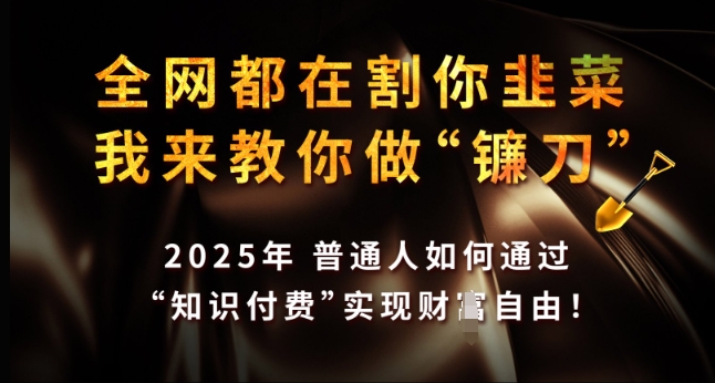 全网都在割你韭菜，我来教你做镰刀，2025年普通人如何通过 知识付费 实现财F自由【揭秘】-网创先锋