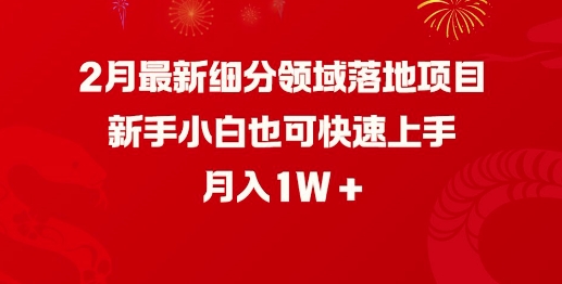 2月最新细分领域落地项目，新手小白也可快速上手，月入1W-网创先锋