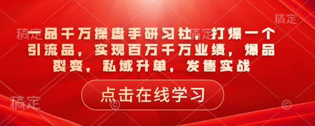 一品千万操盘手研习社，打爆一个引流品，实现百万千万业绩，爆品裂变，私域升单，发售实战-网创先锋