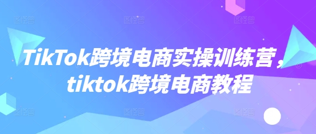 TikTok跨境电商实操训练营，tiktok跨境电商教程-网创先锋