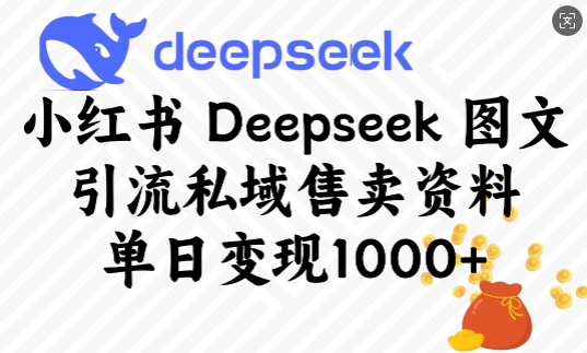 小红书Deepseek图文引流私域售卖资料，单日变现多张-网创先锋