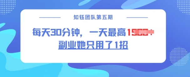 副业她只用了1招，每天30分钟，无脑二创，一天最高1.5k-网创先锋