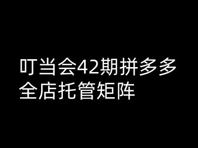 叮当会拼多多打爆班原创高阶技术第42期，拼多多全店托管矩阵-网创先锋