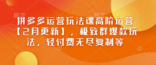 拼多多运营玩法课高阶运营【2月更新】，极致群爆款玩法，轻付费无尽复制等-网创先锋
