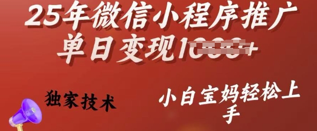25年微信小程序推广单日变现多张，独家技术，小白宝妈轻松上手【揭秘】-网创先锋