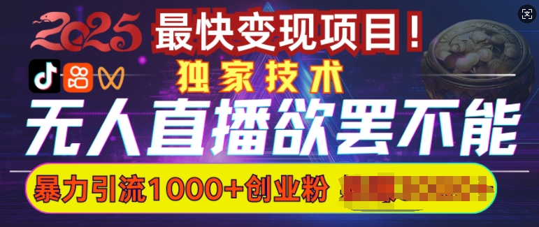 欲罢不能的无人直播引流，超暴力日引流1000+高质量精准创业粉-网创先锋
