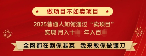 必看，做项目不如卖项目，2025普通人如何通过“卖项目”实现月入十个，年入百个-网创先锋