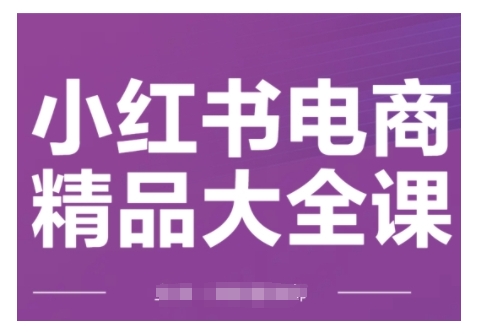 小红书电商精品大全课，快速掌握小红书运营技巧，实现精准引流与爆单目标，轻松玩转小红书电商-网创先锋