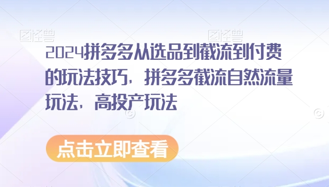 2024拼多多从选品到截流到付费的玩法技巧，拼多多截流自然流量玩法，高投产玩法-网创先锋