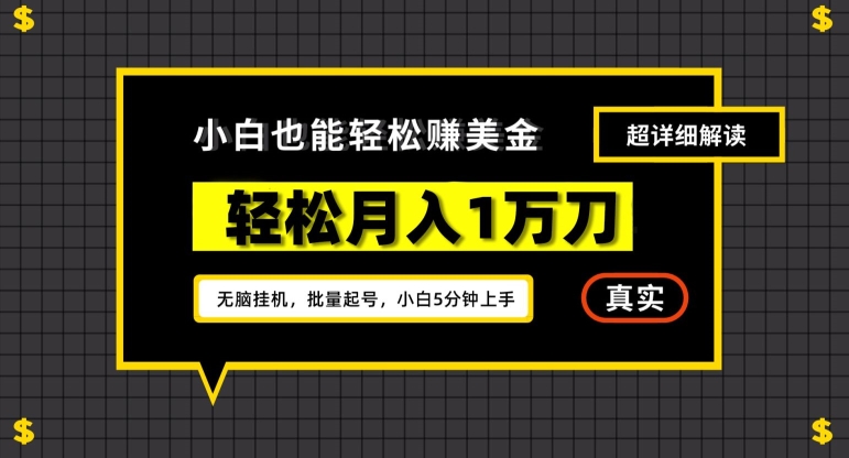 谷歌看广告撸美金2.0，无脑挂机，多号操作，月入1万刀【揭秘】-网创先锋