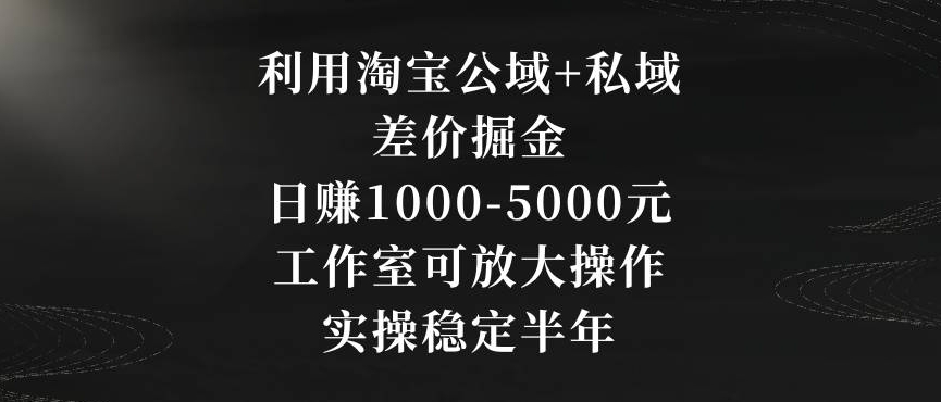 利用淘宝公域+私域差价掘金，日赚1000-5000元，工作室可放大操作，实操稳定半年【揭秘】-网创先锋