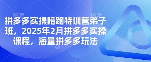 拼多多实操陪跑特训营弟子班，2025年2月拼多多实操课程，海量拼多多玩法-网创先锋