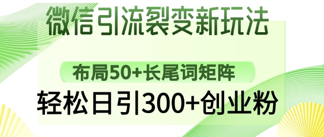 微信引流裂变新玩法：布局50+长尾词矩阵，轻松日引300+创业粉-网创先锋