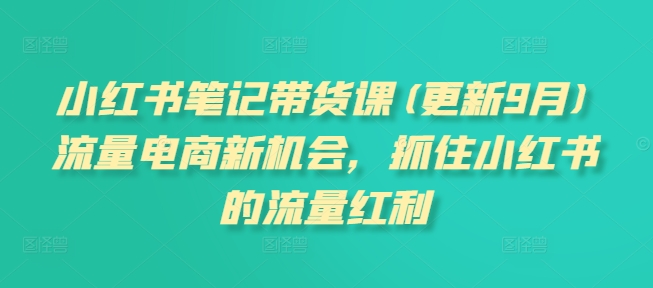 小红书笔记带货课(更新25年3月)流量电商新机会，抓住小红书的流量红利-网创先锋
