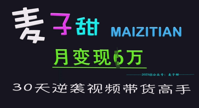 麦子甜30天逆袭视频带货高手，单月变现6W加特训营-网创先锋