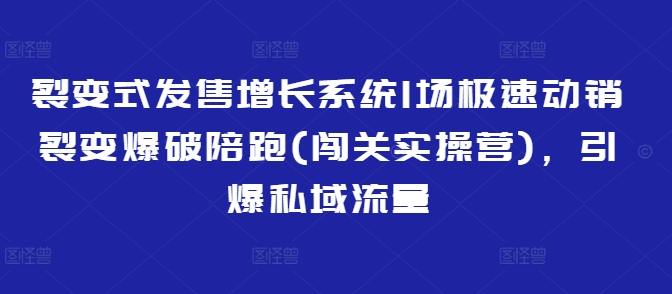 裂变式发售增长系统1场极速动销裂变爆破陪跑(闯关实操营)，引爆私域流量-网创先锋