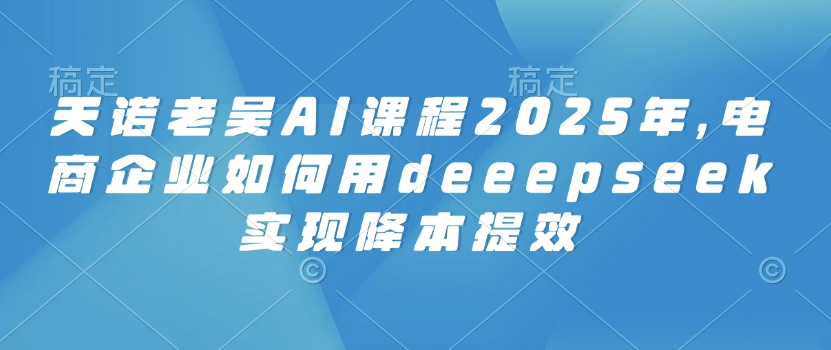 天诺老吴AI课程2025年，电商企业如何用deeepseek实现降本提效-网创先锋