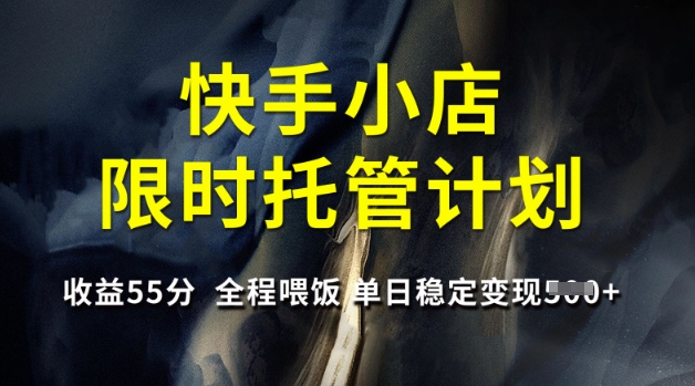 快手小店限时托管计划，收益55分，全程喂饭，单日稳定变现5张【揭秘】-网创先锋